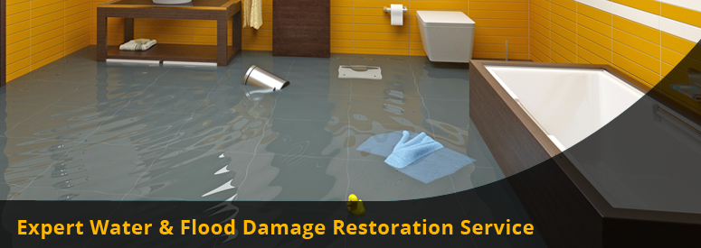 Water and Flood Damage Restoration Pacific Palisades CA