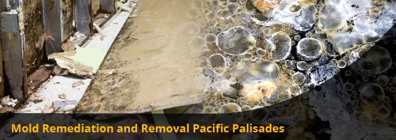 Mold Remediation and Removal Pacific Palisades CA